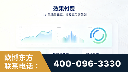 济宁-效果付费：主力品牌呈现率、提及率位居前列
